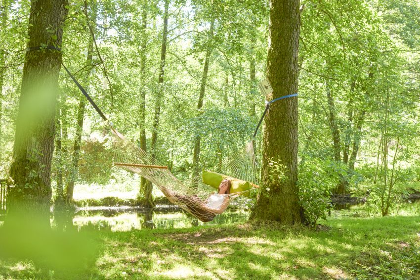 Hängematte Sommer Waldbaden oF_BR15603 kleiner